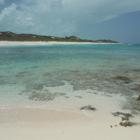 DSCF0130