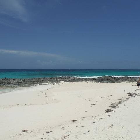 DSCF0141