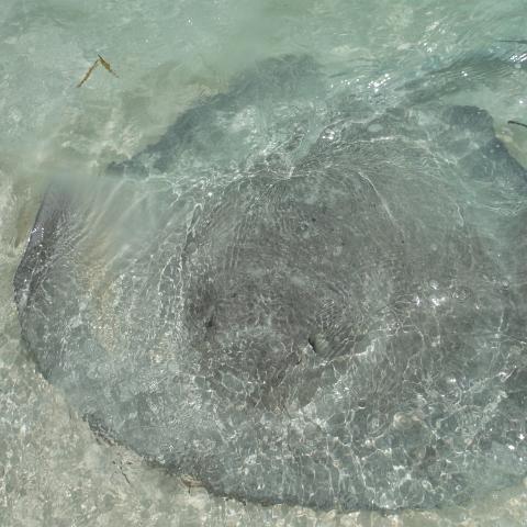DSCF0161