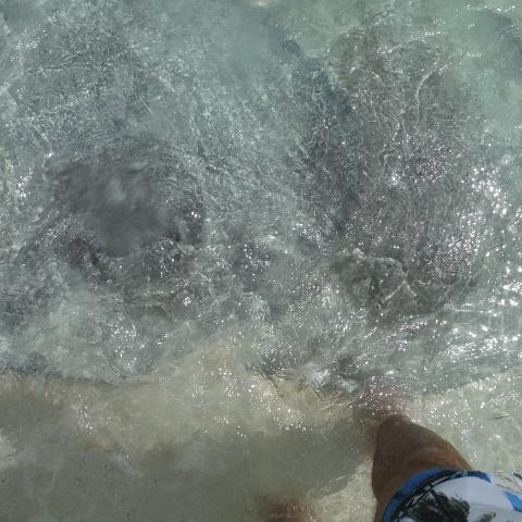 DSCF0165