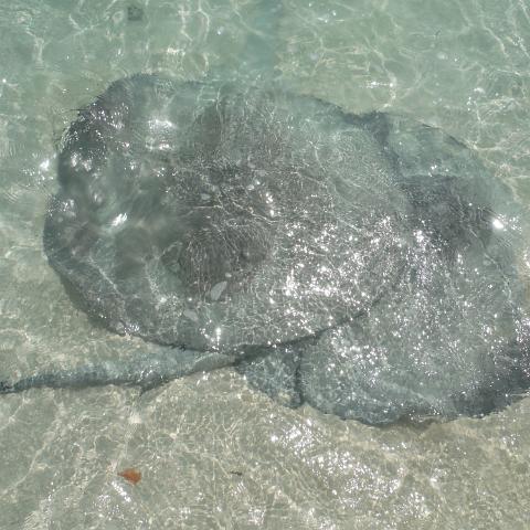 DSCF0170