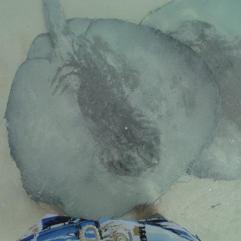 DSCF0216