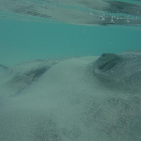 DSCF0218