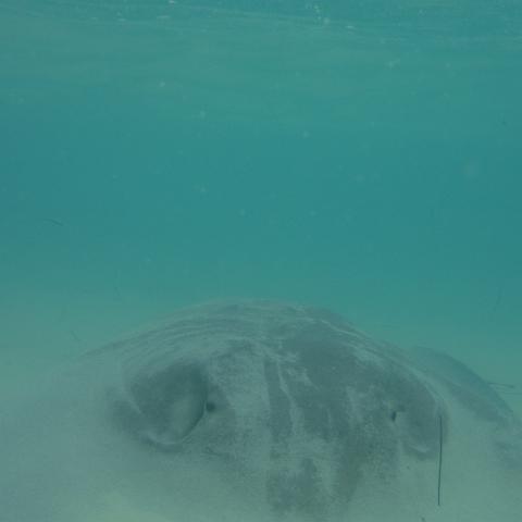 DSCF0223