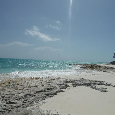 DSCF0273