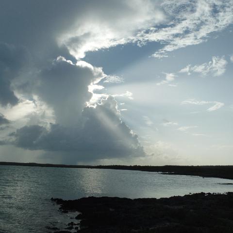 DSCF0324