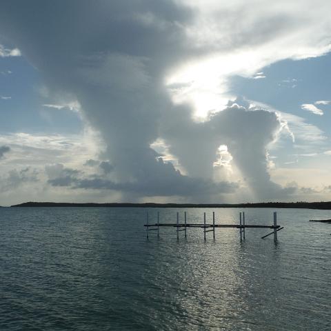 DSCF0329