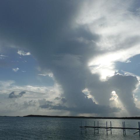 DSCF0331