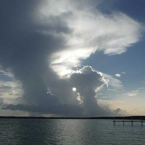 DSCF0338