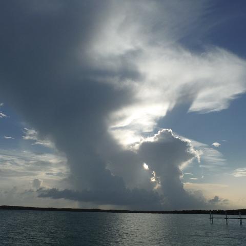 DSCF0343