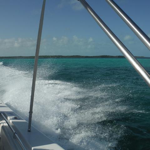 DSCF0365