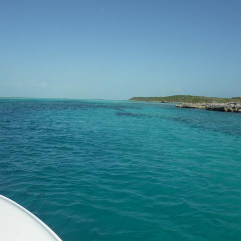DSCF0388