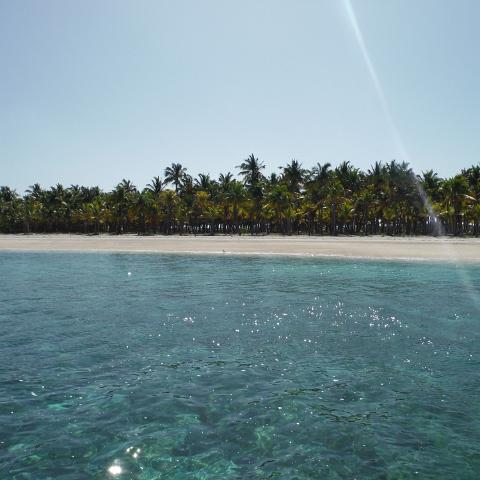 DSCF0415