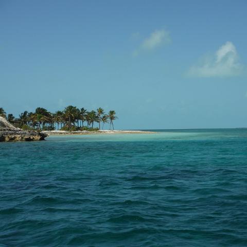 DSCF0419