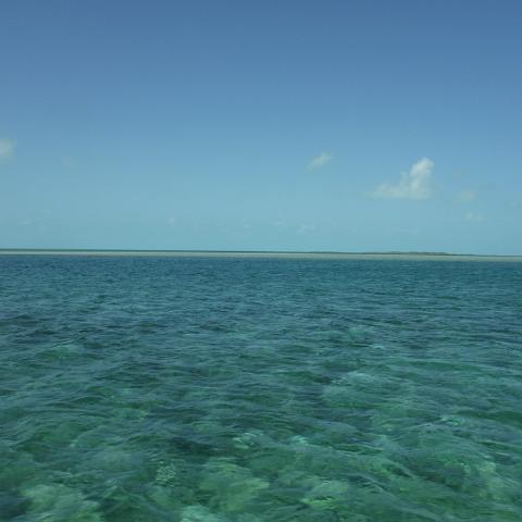 DSCF0426