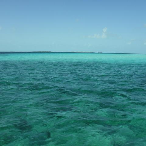 DSCF0437