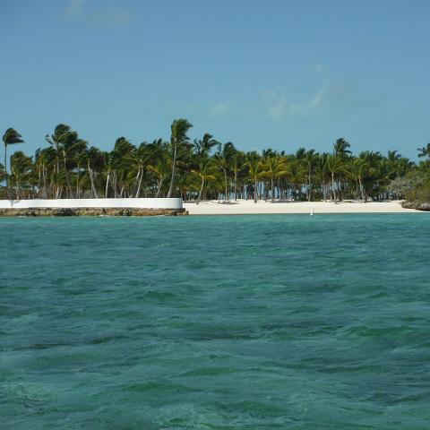 DSCF0440