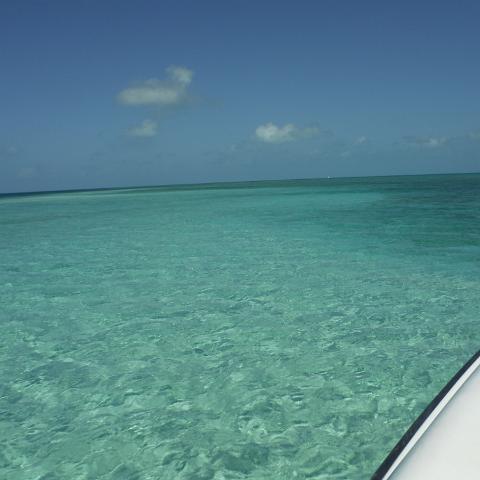 DSCF0448