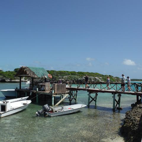 DSCF0457