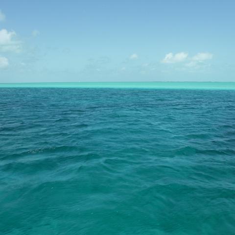 DSCF0461