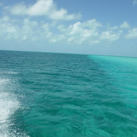 DSCF0462