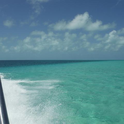 DSCF0463