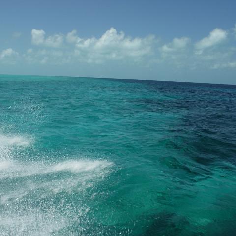 DSCF0466