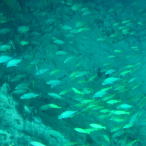 DSCF0478