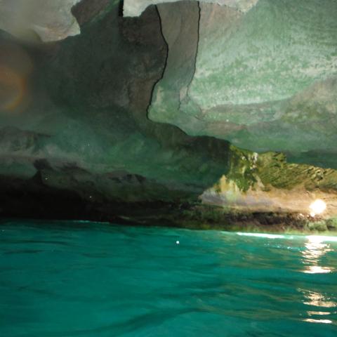 DSCF0479