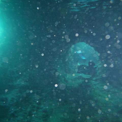 DSCF0491