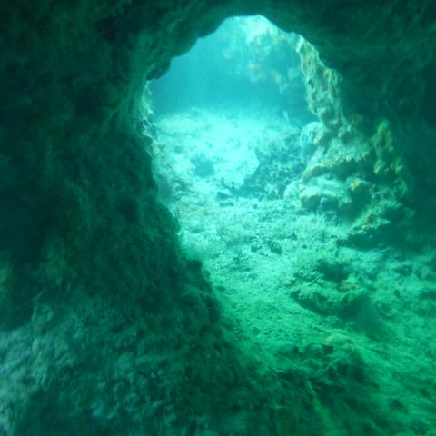 DSCF0495