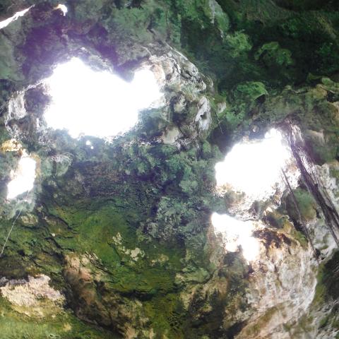 DSCF0497
