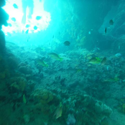 DSCF0499