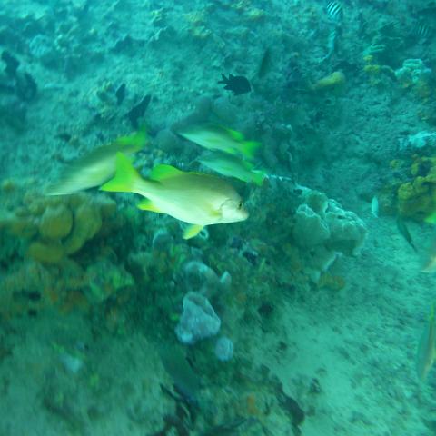DSCF0500