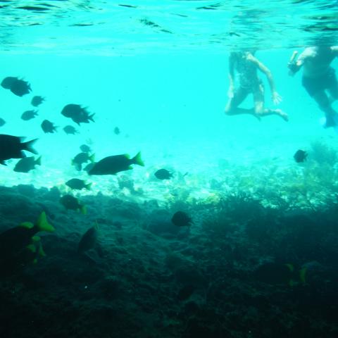 DSCF0502