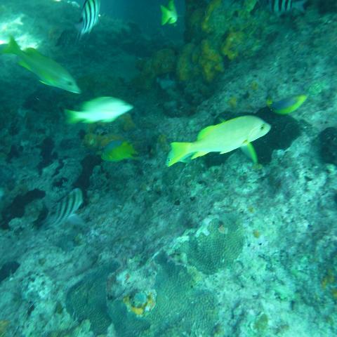 DSCF0507