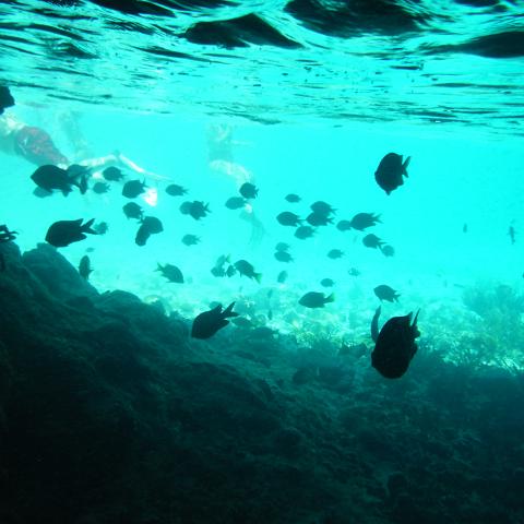 DSCF0517