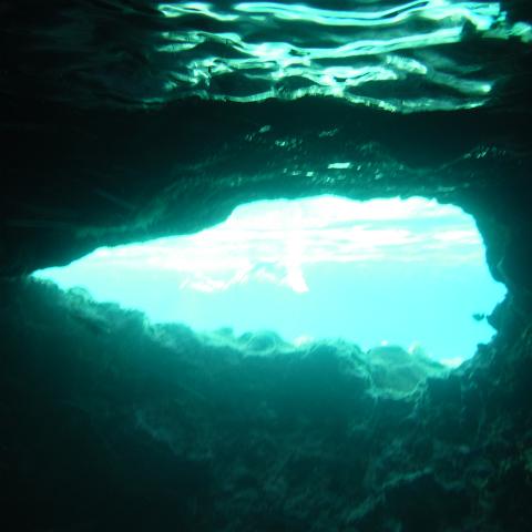 DSCF0526