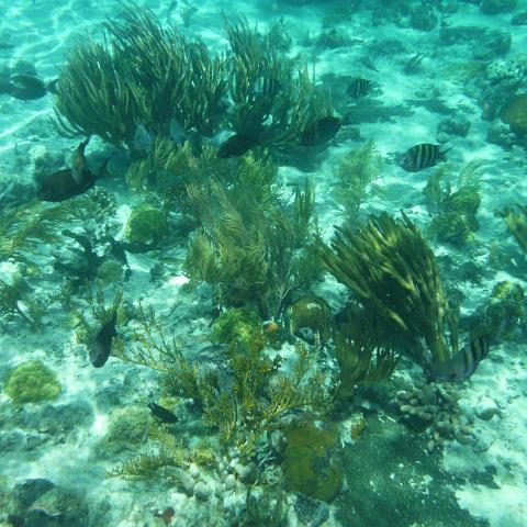 DSCF0533