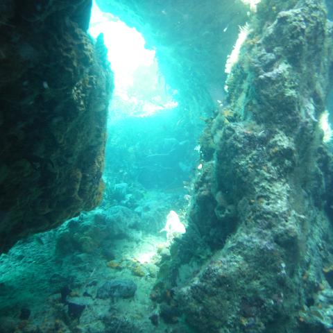 DSCF0549