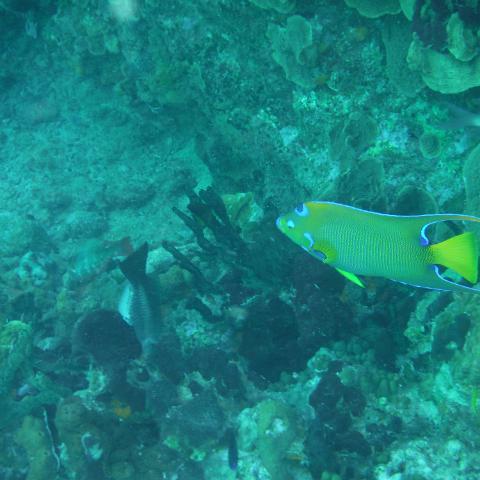 DSCF0559