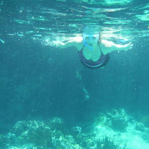 DSCF0573