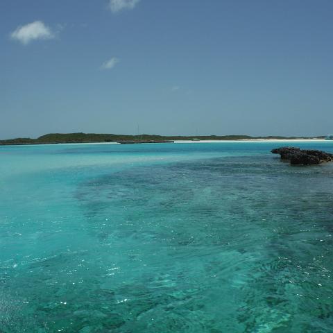 DSCF0774