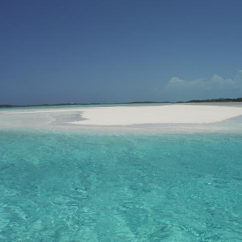 DSCF0788