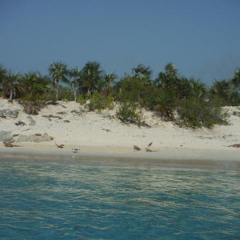 DSCF0884