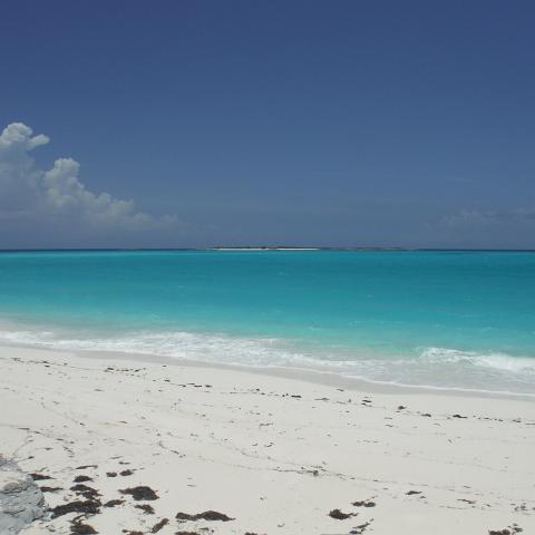 DSCF0887