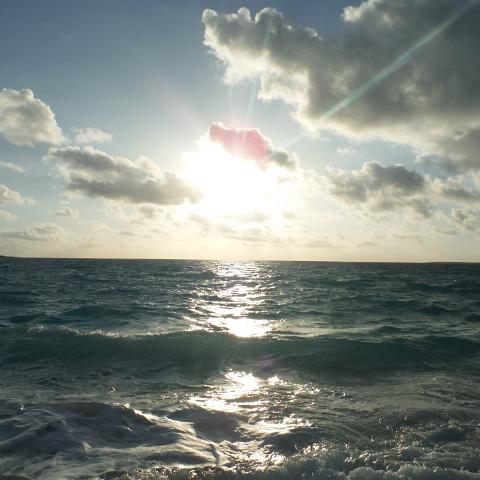 DSCF0892