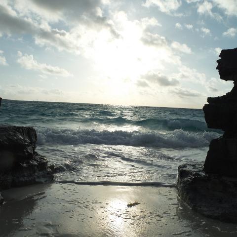 DSCF0894