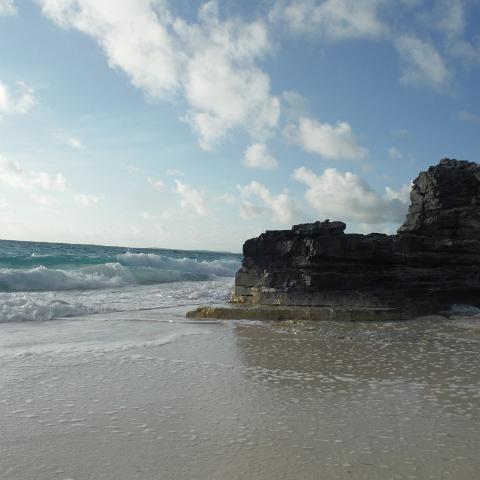 DSCF0896