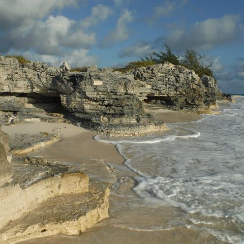 DSCF0905